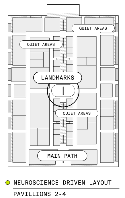 Neuroscience-Driven Layout